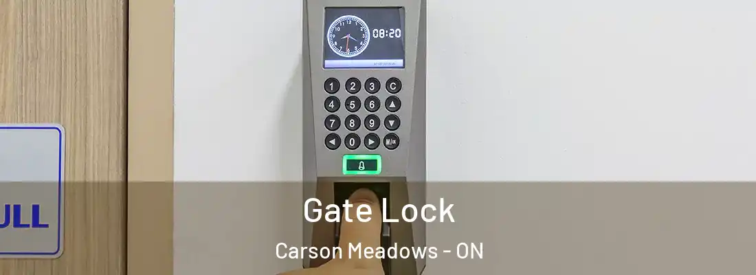  Gate Lock Carson Meadows - ON