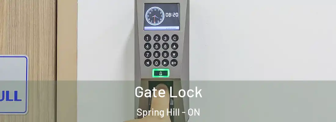  Gate Lock Spring Hill - ON