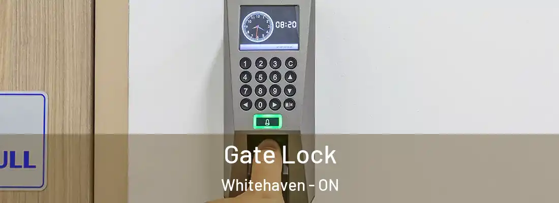  Gate Lock Whitehaven - ON