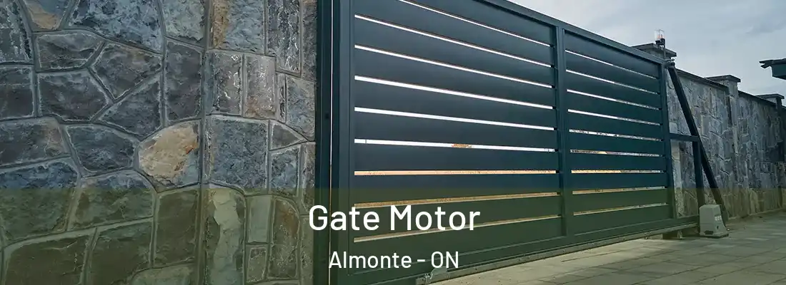  Gate Motor Almonte - ON