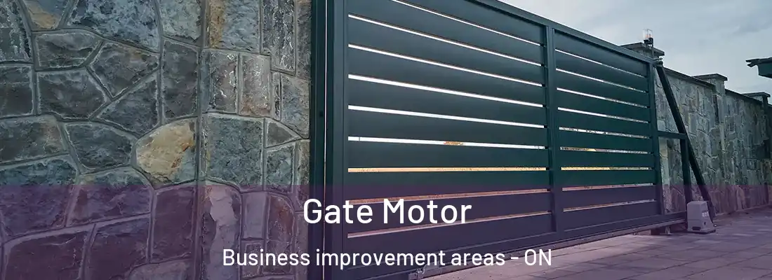  Gate Motor Business improvement areas - ON