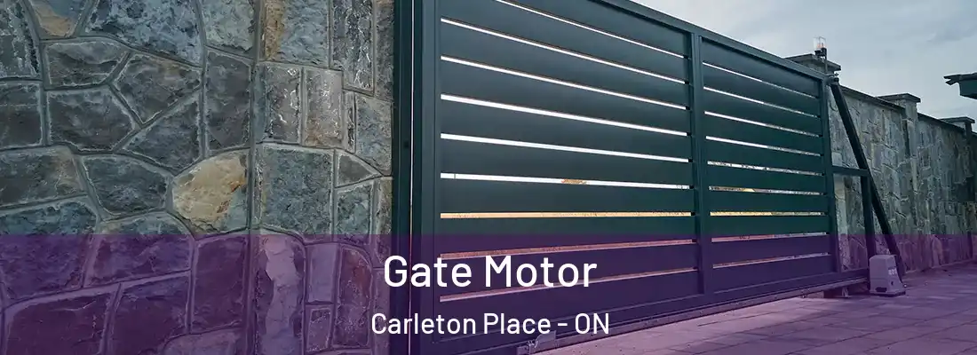  Gate Motor Carleton Place - ON