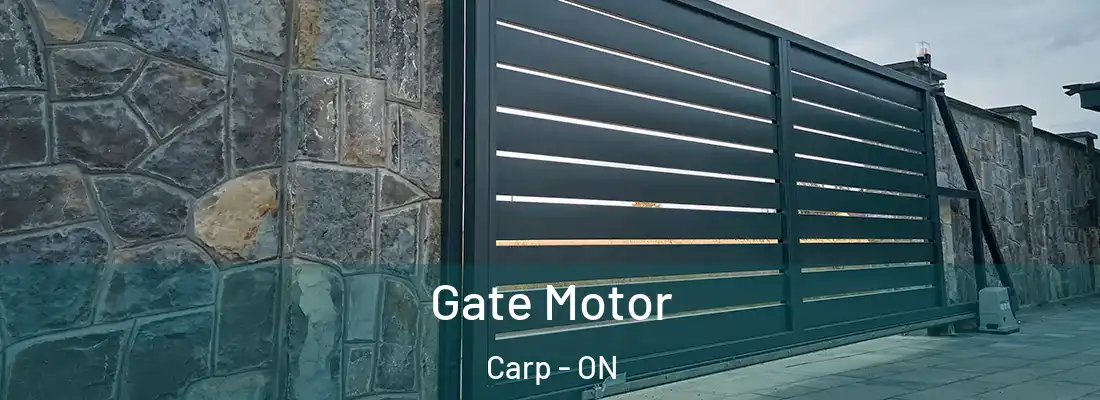  Gate Motor Carp - ON