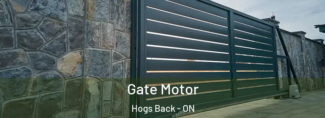  Gate Motor Hogs Back - ON