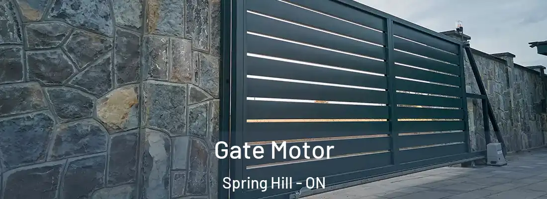  Gate Motor Spring Hill - ON