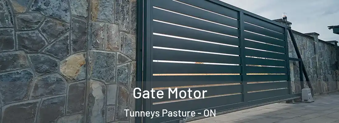  Gate Motor Tunneys Pasture - ON