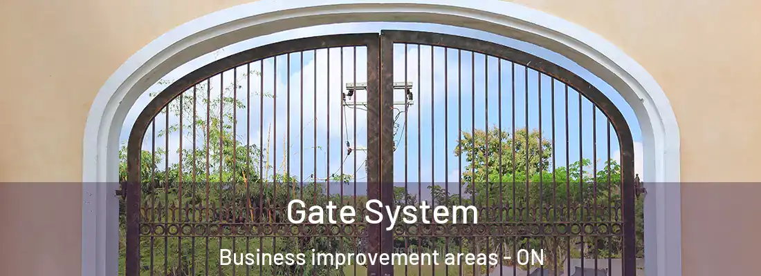  Gate System Business improvement areas - ON
