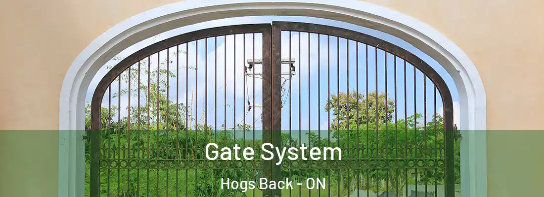  Gate System Hogs Back - ON