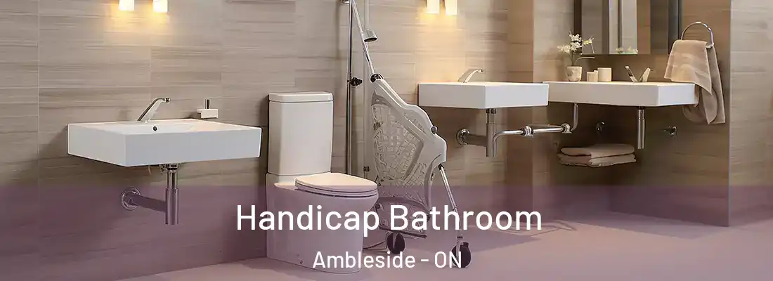  Handicap Bathroom Ambleside - ON