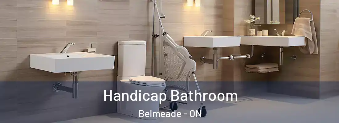  Handicap Bathroom Belmeade - ON