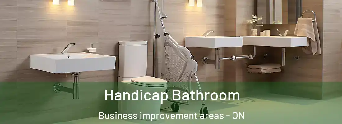  Handicap Bathroom Business improvement areas - ON