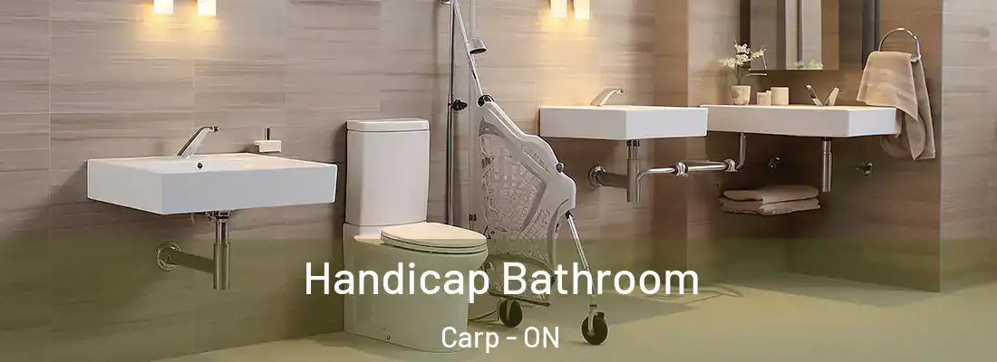  Handicap Bathroom Carp - ON