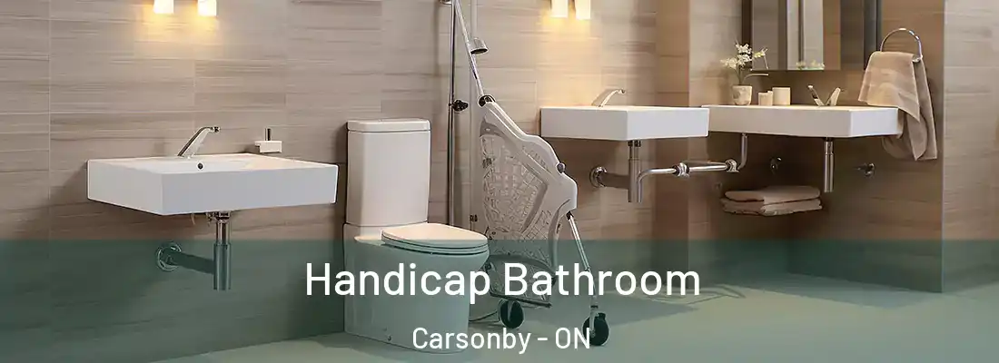  Handicap Bathroom Carsonby - ON