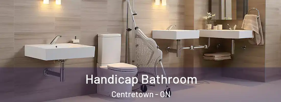  Handicap Bathroom Centretown - ON