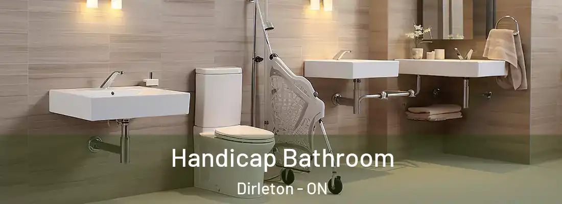  Handicap Bathroom Dirleton - ON