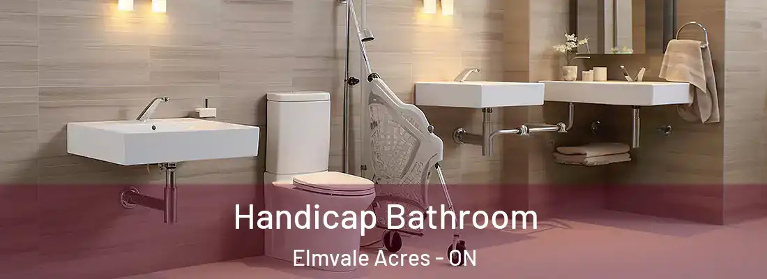  Handicap Bathroom Elmvale Acres - ON