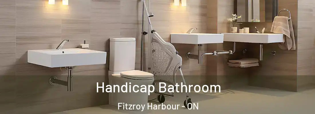  Handicap Bathroom Fitzroy Harbour - ON