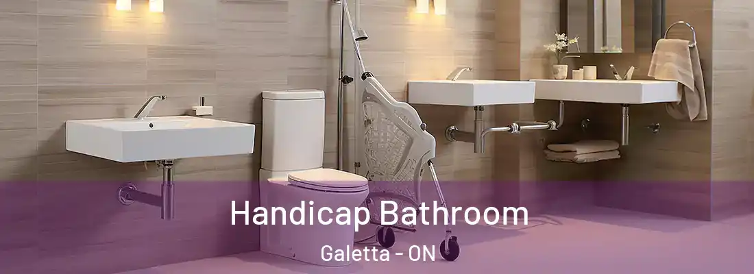  Handicap Bathroom Galetta - ON
