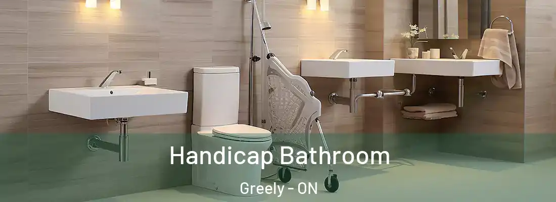  Handicap Bathroom Greely - ON