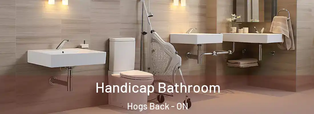  Handicap Bathroom Hogs Back - ON