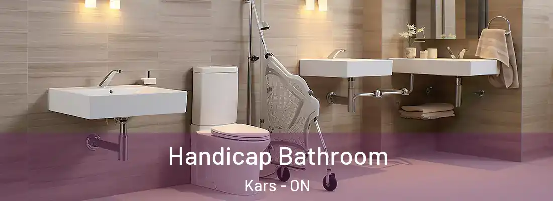  Handicap Bathroom Kars - ON