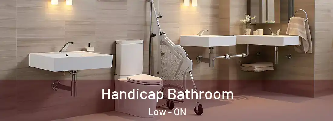  Handicap Bathroom Low - ON