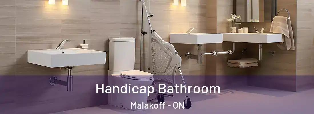  Handicap Bathroom Malakoff - ON