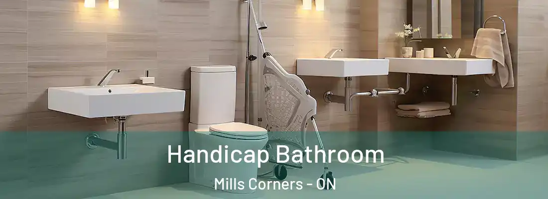  Handicap Bathroom Mills Corners - ON