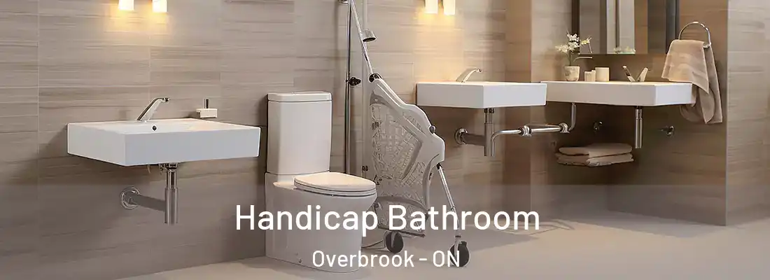  Handicap Bathroom Overbrook - ON