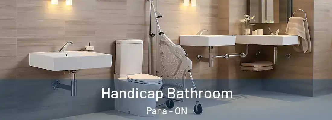  Handicap Bathroom Pana - ON