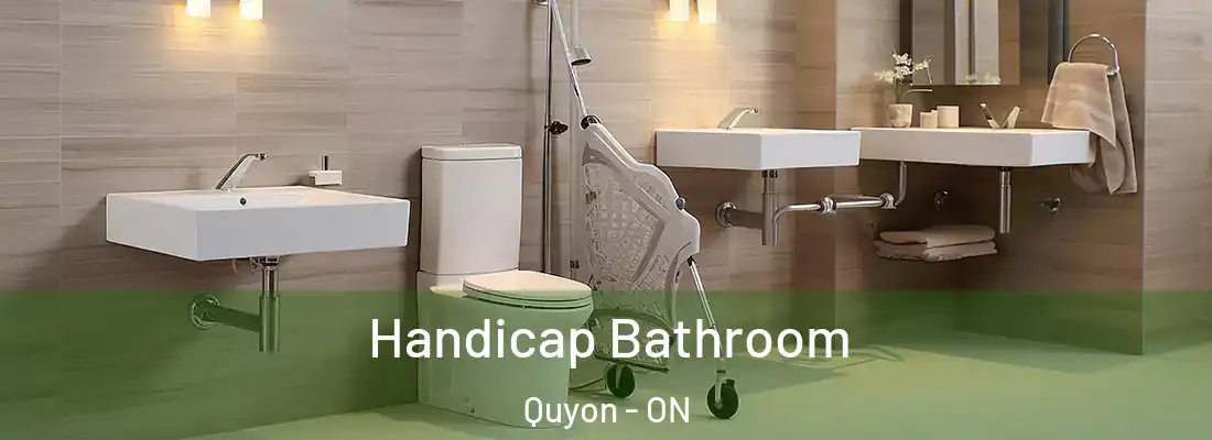  Handicap Bathroom Quyon - ON