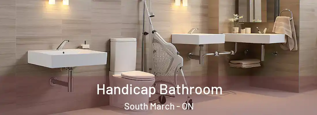  Handicap Bathroom South March - ON