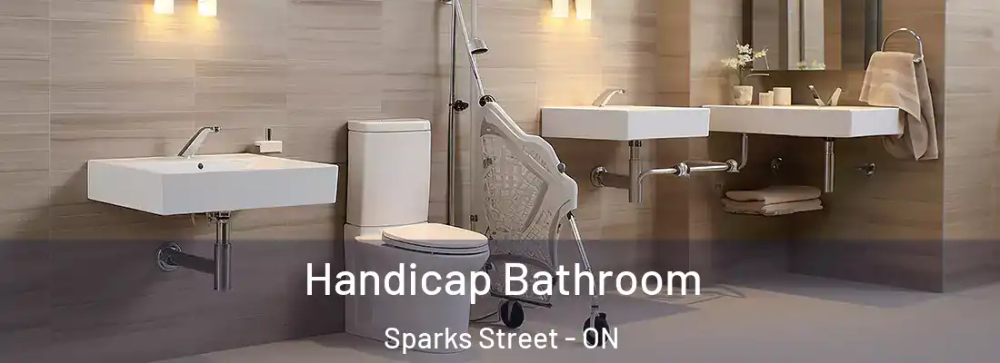  Handicap Bathroom Sparks Street - ON