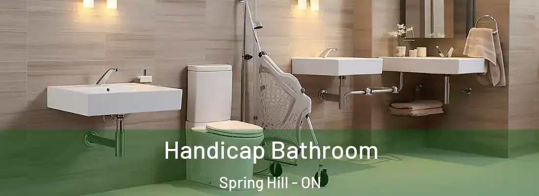  Handicap Bathroom Spring Hill - ON