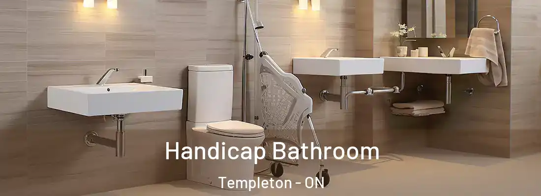  Handicap Bathroom Templeton - ON