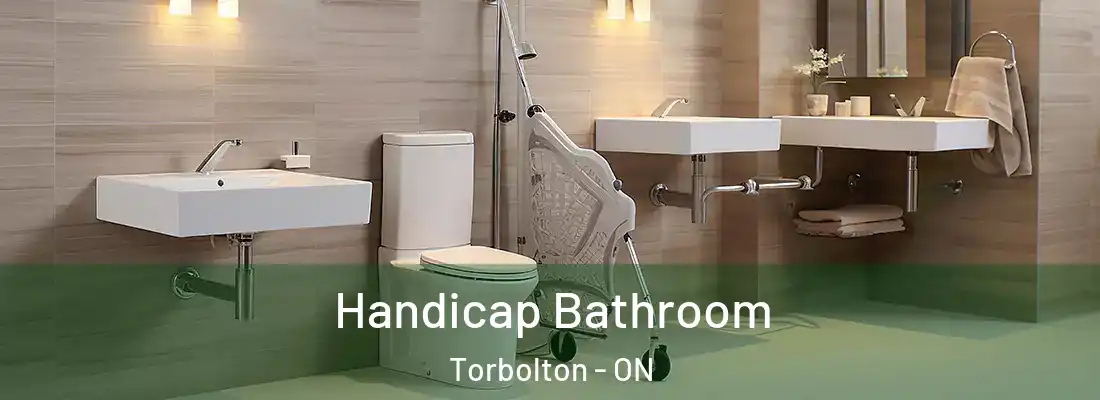  Handicap Bathroom Torbolton - ON