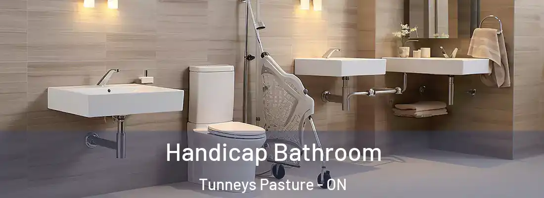  Handicap Bathroom Tunneys Pasture - ON