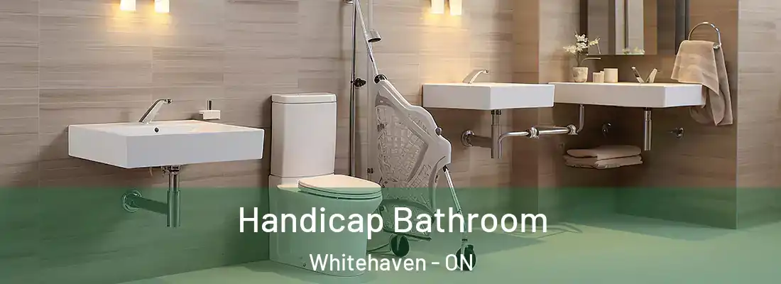  Handicap Bathroom Whitehaven - ON
