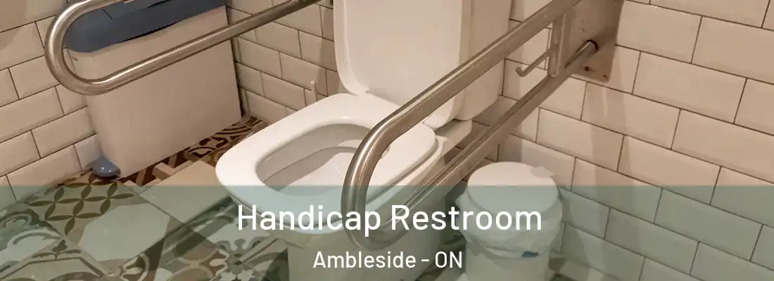  Handicap Restroom Ambleside - ON