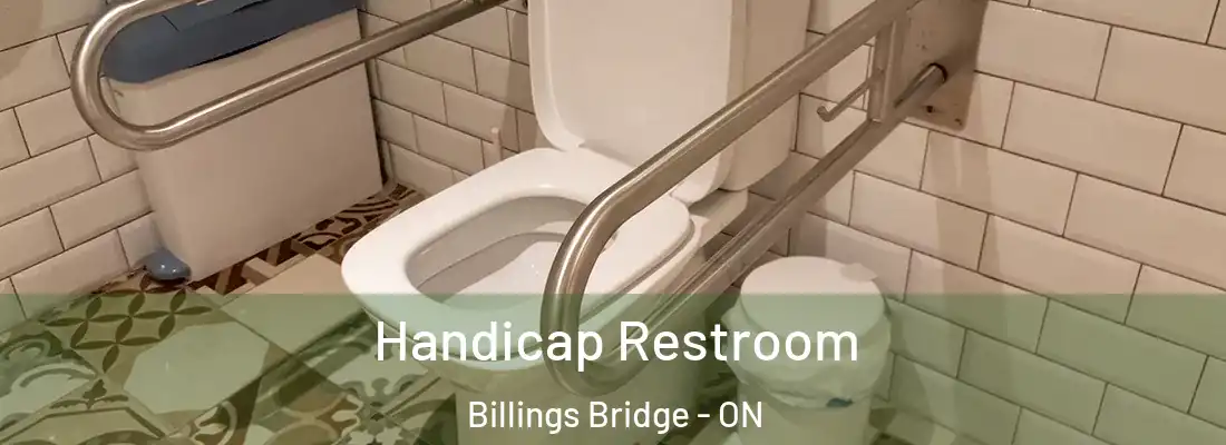  Handicap Restroom Billings Bridge - ON