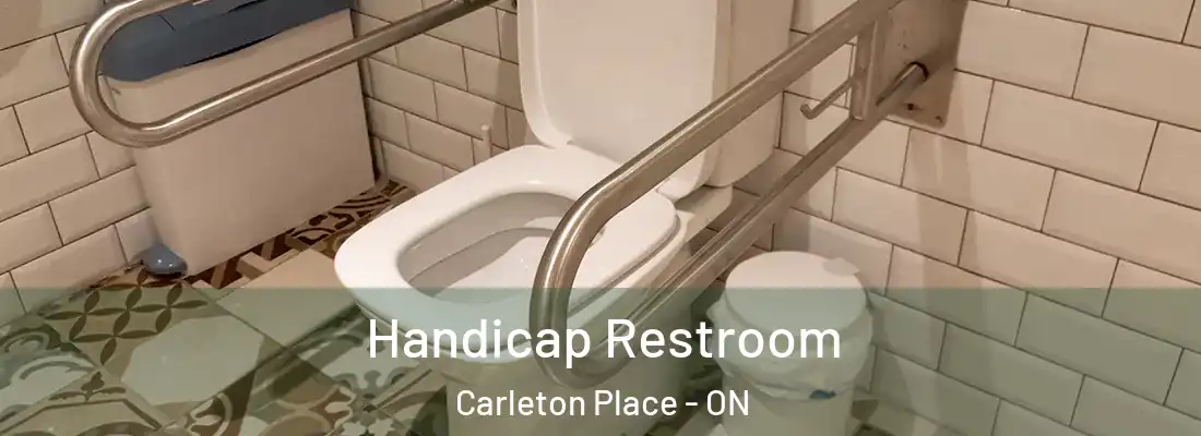  Handicap Restroom Carleton Place - ON
