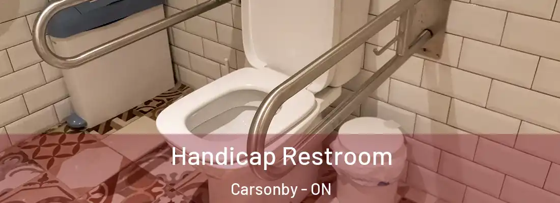  Handicap Restroom Carsonby - ON