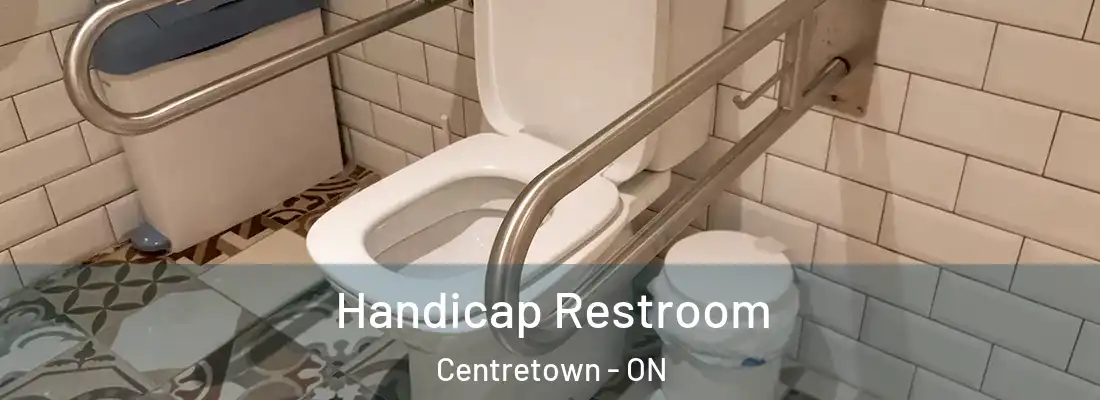  Handicap Restroom Centretown - ON