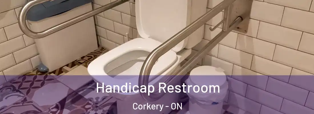  Handicap Restroom Corkery - ON