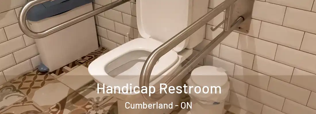  Handicap Restroom Cumberland - ON
