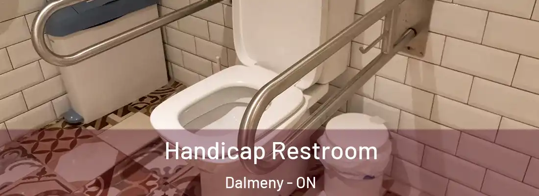  Handicap Restroom Dalmeny - ON