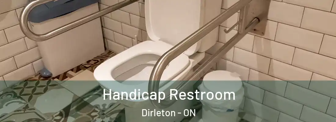  Handicap Restroom Dirleton - ON