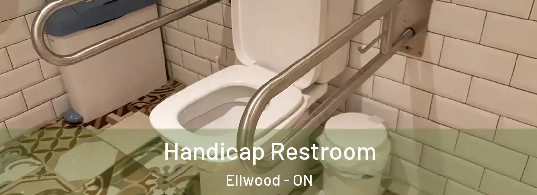  Handicap Restroom Ellwood - ON