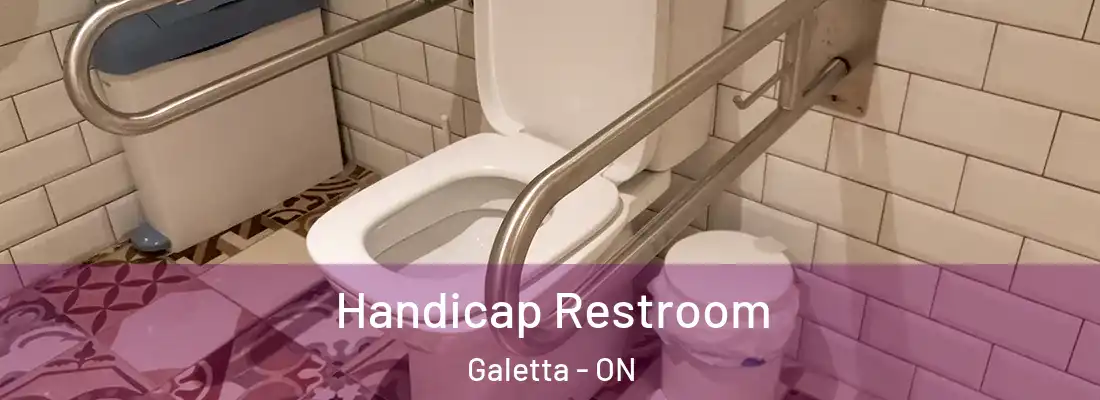  Handicap Restroom Galetta - ON