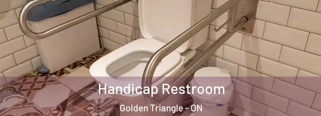  Handicap Restroom Golden Triangle - ON